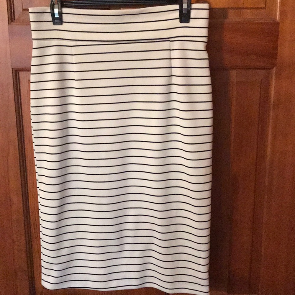 Business skirt bundle